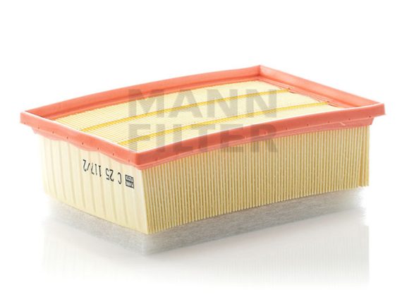 Air Filter 1482-C251172 OE 1444CE