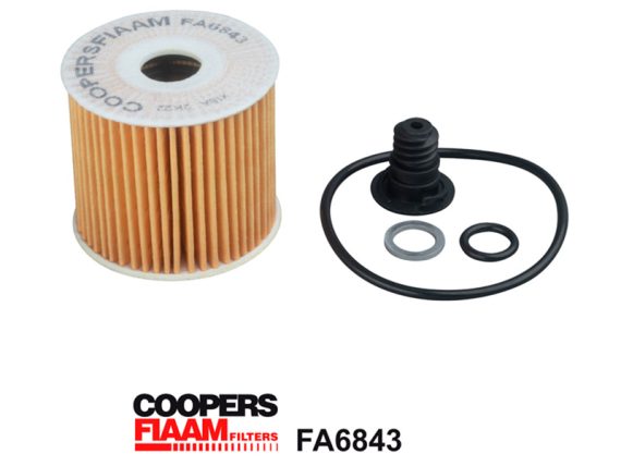 1483-FA6843_001.JPG Oil Filter 1483-FA6843 OE 263202U000