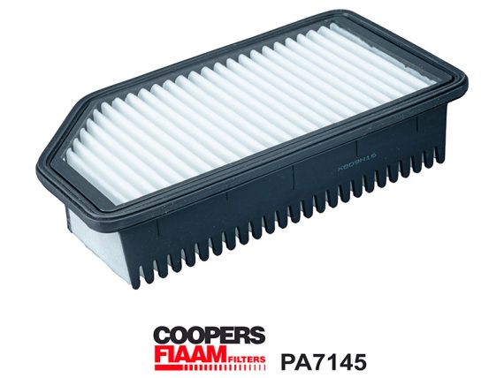 1483-PA7145_001.JPG Gaisa filtrs CPF, KIA RIO III 281131W000 1483-PA7145 OE 281131W000