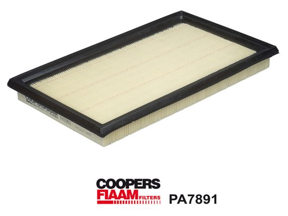 Air Filter 1483-PA7891 OE 1378061M00000