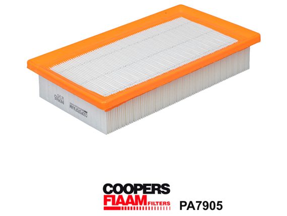 1483-PA7905_001.JPG Gaisa filtrs CPF, KIA 28113H8100 1483-PA7905 OE 28113H8100