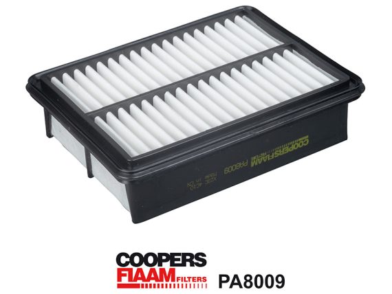 1483-PA8009_001.JPG Air Filter 1483-PA8009 OE S801133A0