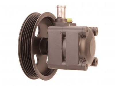 Steering Pump 15-1090 OE 