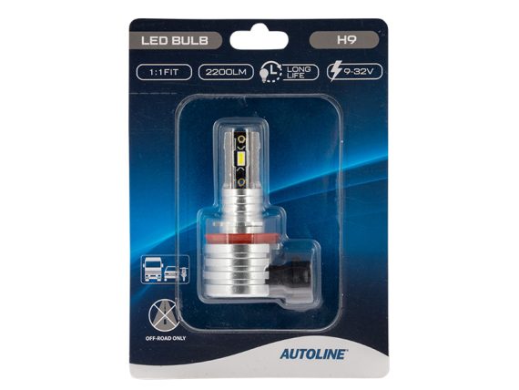 1608-88009_003.JPG 1:1 LED bulb H9 1608-88009 OE