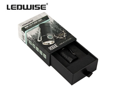 ROKAS LUKTURIS LEDWISE ROGUE LED MINI 1700-AT786 OE 