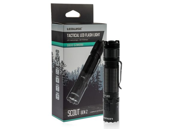 1700-AT810_001.JPG Torch 1700-AT810 OE
