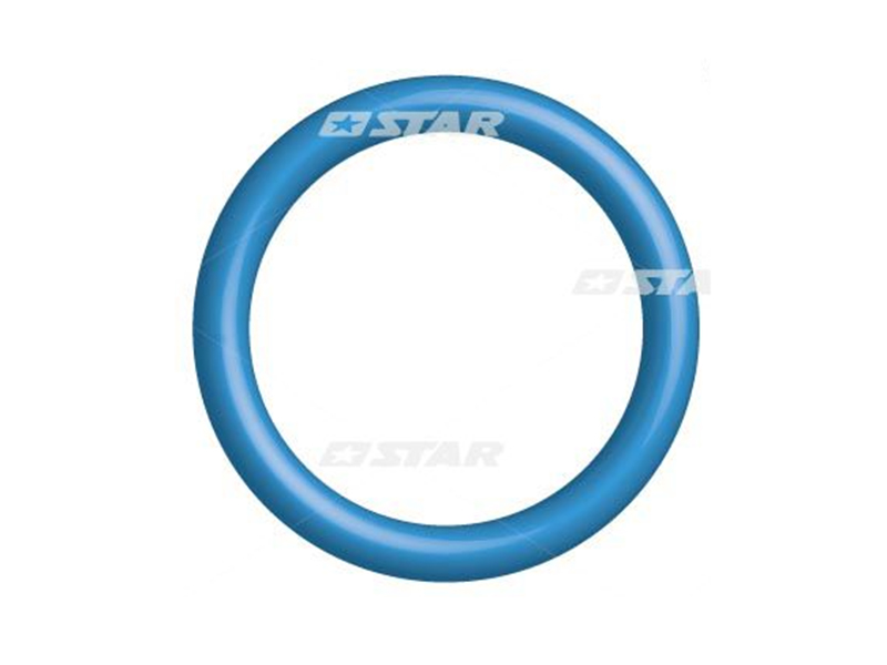 O-RENGAS FORD 2.0 TDCI SIEMENS 30999-03 OE 