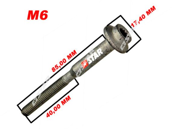 43062_001.JPG Sprauslas turētāja skrūve M6 x 85/40mm, VAG 2.0 TDI WHT004739 43062 OE WHT004739