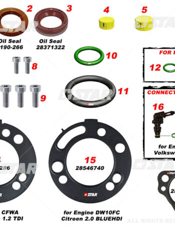 Common Rail remonta komplekts Star Delphi DFP6 - 60139-40