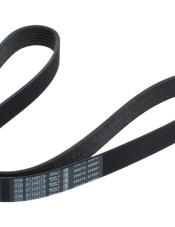 Ribbed V-belt - 7PK1325