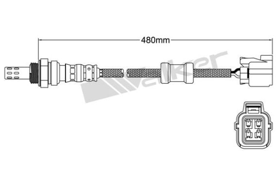 HAPNIKUANDUR WALKER 8250-24343 OE 