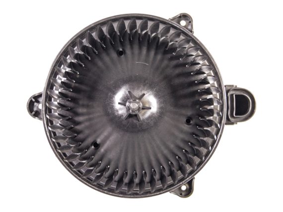 9010-19568MAHLE_005.JPG Pūtēja motors, MAHLE, Ford Tourneo, Transit, OE 1768430 9010-19568MAHLE OE 1768430