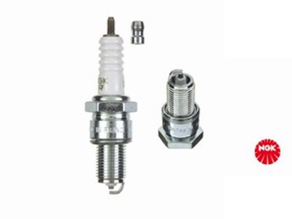 N7281_001.JPG Spark Plug V-Line N7281 OE