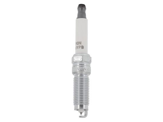OE251_001.JPG Spark Plug OE251 OE 1748575